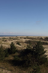 Curonian coast