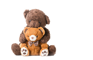 two teddy bear hugging isolated on white background