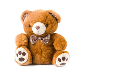 cute brown Teddy Bear isolated
