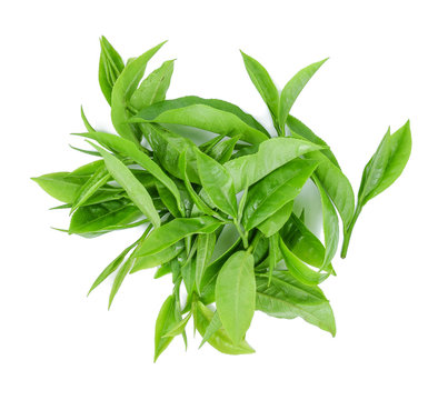 A pile of green tea leaves isolated on white background.