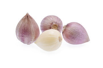 Garlic, Elephant garlic isolated on white background
