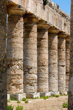 Unusually well preserved Greek Doric temple of Segesta is thought to have been built in the 420's BC by an Athenian architect and has six by fourteen columns on a base measuring 21 by 56 meters.