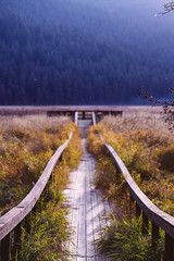 Autumn hiking in the Northwest - 123768382