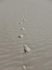 Footsteps up a dune