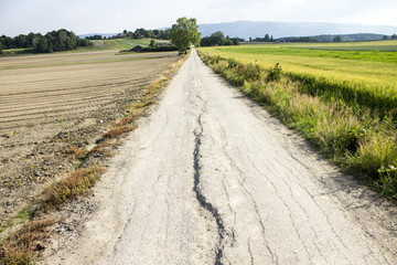 Narrow cracked road in the countryside