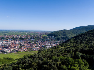 Fototapeta na wymiar Neustadt an der Weinstraße Pfalz Rheinland Pfalz