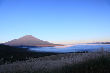 早朝の台地