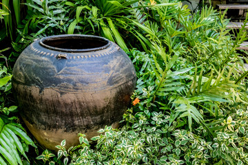 Obraz premium Old Clay jar
