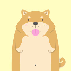 cute big fat Shiba Inu dog on yellow background