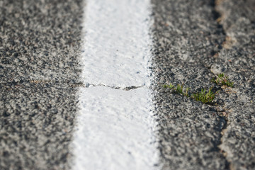 markings on the road close-up