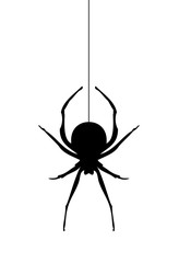 Vector Spider Silhouette