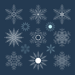 Fototapeta na wymiar Set of snowflakes on a dark background.