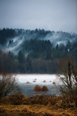Autumn Fogs / Mists of Vancouver Island - 123774132