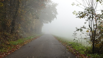 Wanderweg im Nebel