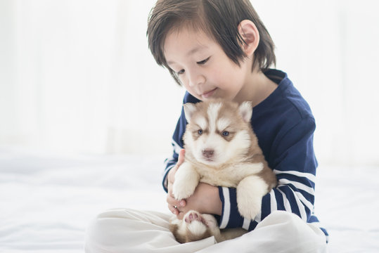 asian child and siberian husky puppies lying