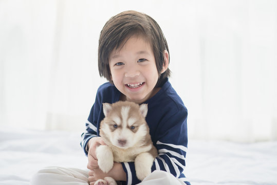 asian child and siberian husky puppies lying