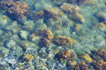 Green stone in clear sea water