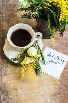 Coffee and mimosa flowers