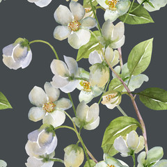 Fototapeta premium Seamless watercolor flowers of rosemary on a colored background 