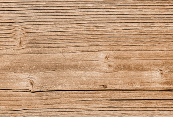 Wood texture natural. Lining boards wall. Wooden background pattern. Showing growth rings