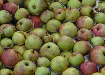Mostäpfel