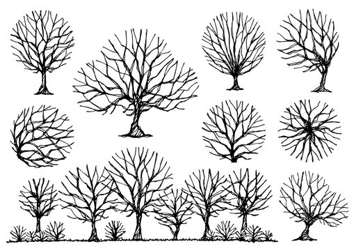 set of free hand drawing trees, vector illustration design