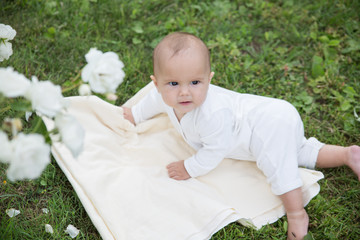 Baby girl crawling on the grass