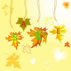 autumn maple  leavse with sale