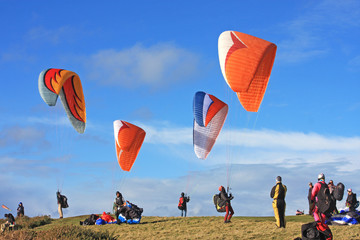 Paragliders preparing to fly - obrazy, fototapety, plakaty
