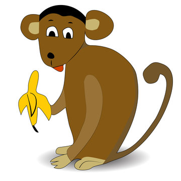 Monkey sit with banana