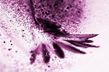 Abstract underwater composition with dried flower, bubbles and light