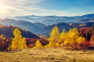 Fototapeta premium Majestic autumn landscape
