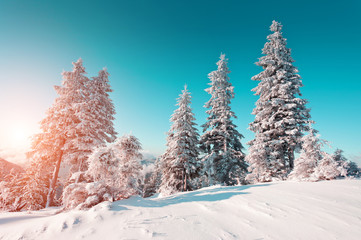 beautiful wintry landscape