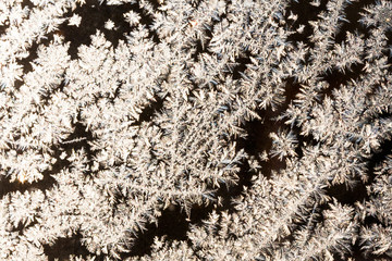 Ice flowers on glass - texture and background