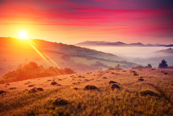 Majestic summer landscape