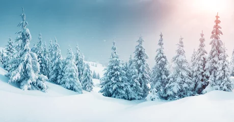 Fotobehang prachtig winters landschap © Leonid Tit