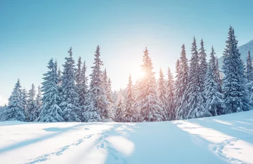 Foto op Plexiglas anti-reflex prachtig winters landschap © Leonid Tit