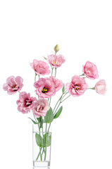 bunch of pink eustoma flowers in glass vase isolated on white