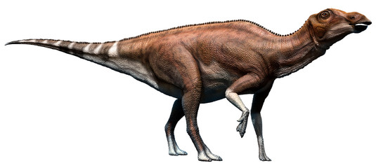 Brachylophosaurus hadrosaurid dinosaur 3D illustration
