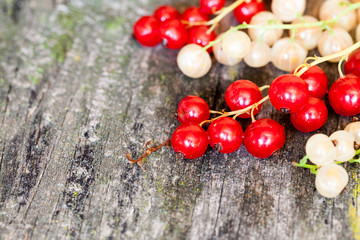 Currants, cherries and other summer fruits with old wood texture