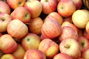 Pommes ' Royal Gala ' au marché