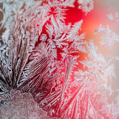 Ice flowers on glass - texture and background