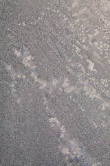 Ice flowers on glass - texture and background. High resolution and sharp, beautiful details