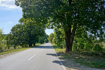 Road