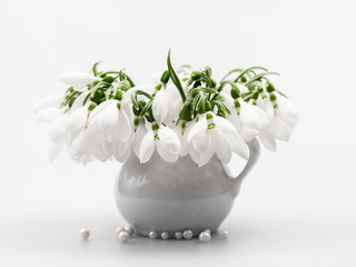 Beautiful snowdrops in a bouquet with details