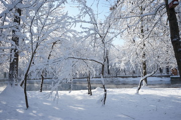 Snowing landscape in the park