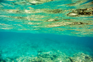 Fototapeta na wymiar Underwater texture and fauna in Ionian sea, Zakynthos, Greece