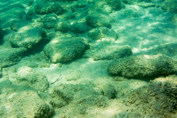 Underwater texture and fauna in Ionian sea, Zakynthos, Greece