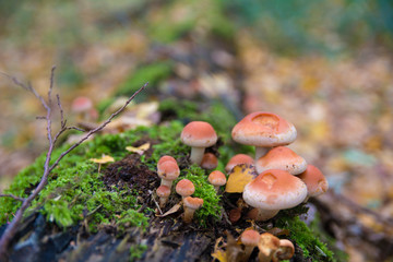 Color texture and background seamless pattern. Hand drawn seamless texture for invitations, cards, fabric, websites, wrapping paper, and other designs