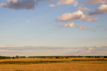 Fields in Poland